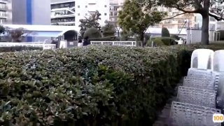 网通一区⭕❌欧美精品A片XXX⭕❌欧美性猛交XXXX乱大交极品-无码av电影在线观看不卡